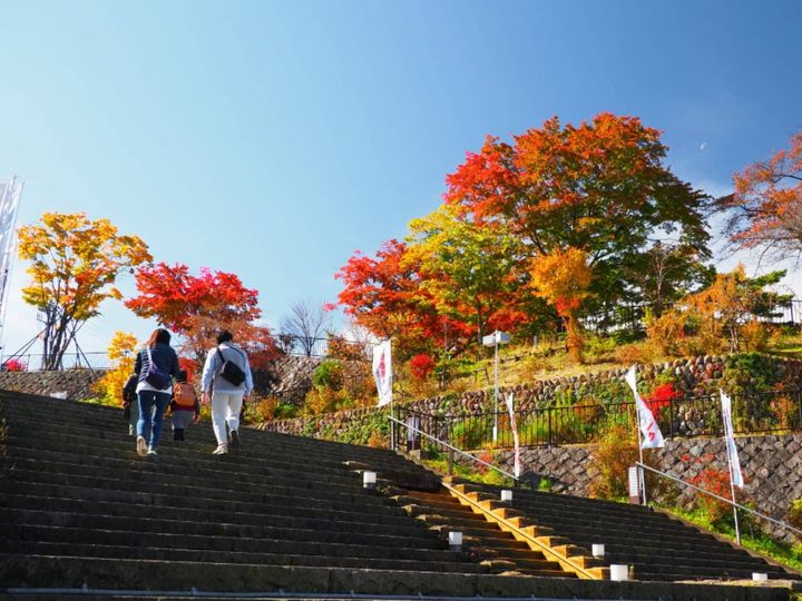 All About ニュース編集部が全国250人を対象に実施した「秋に行きたい温泉地」に関するアンケートの調査結果から、「秋に行きたい群馬県（草津・四万・伊香保・水上エリア）の温泉地」ランキングを発表！ 2位「伊香保温泉」を抑えた1位は？