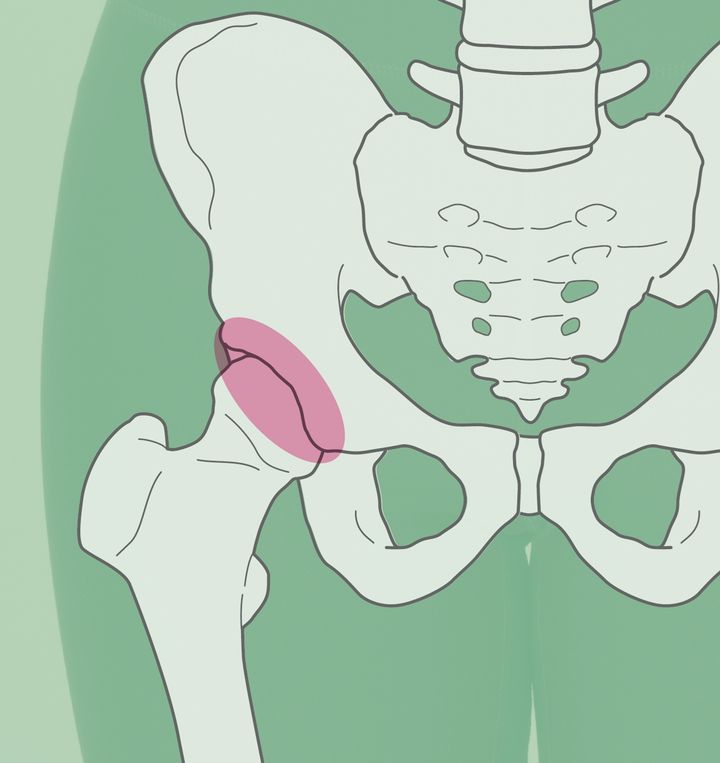 股関節6方向の動きと役割