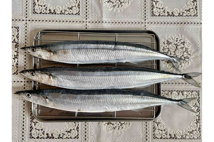 脂がのったサンマは秋を代表する味覚です。今年は大きめ×身が厚いサンマが比較的リーズナブルに手に入りやすいのがうれしいですね。