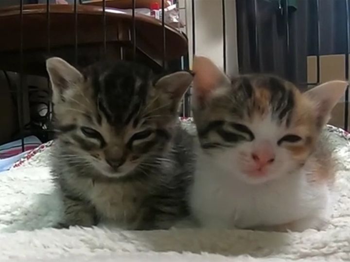 今にも寝ちゃいそうだけど……？