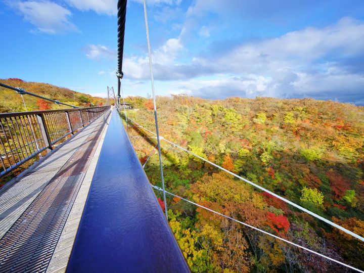 All About ニュース編集部が全国250人を対象に実施した「秋に行きたい温泉地」に関するアンケートの調査結果から、「秋に行きたい栃木県（日光・鬼怒川・那須エリア）の温泉地」ランキングを発表！ 2位「那須湯本温泉」を抑えた1位は？