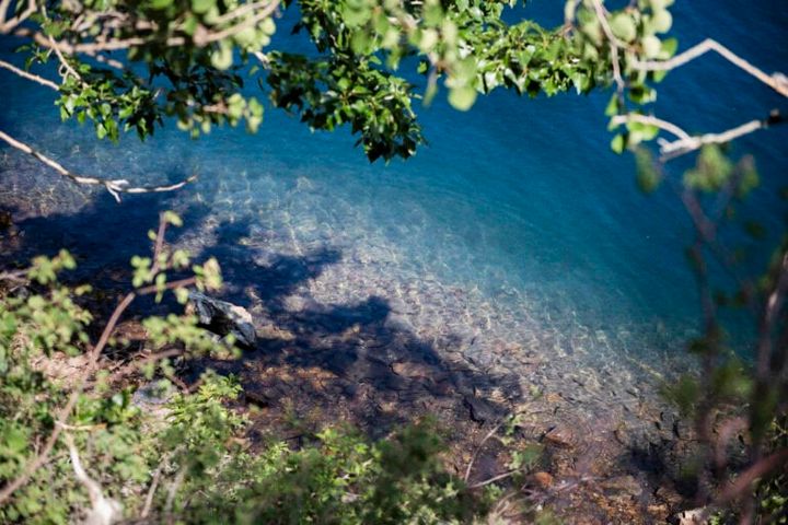 上から見ると水底が見えるほど水が透き通っているのがわかる