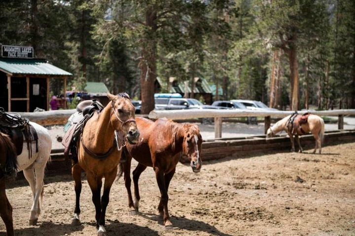 途中、馬小屋を通り過ぎた。湖巡りは馬で楽しむこともできる