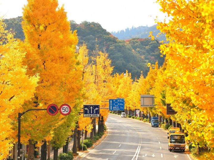 秋に行きたい「東京都の絶景ドライブスポット」ランキング！ All About ニュース編集部が全国の205人を対象に実施したアンケート調査結果から、「高尾街道」を抑えた1位は？