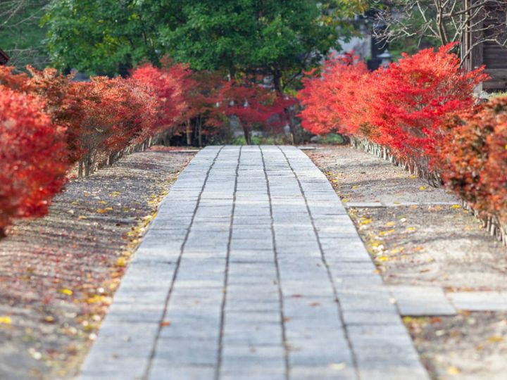 All About ニュース編集部が全国250人を対象に実施した「秋に行きたい温泉地」に関するアンケートの調査結果から、「秋に行きたい長野県（信州・北信エリア）の温泉地」ランキングを発表！ 2位「別所温泉」を抑えた1位は？