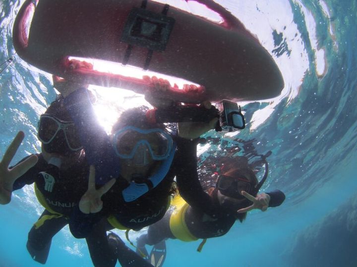 かがやき隊杉田さんのハワイ旅行紀 シュノーケリング ハナウマ湾