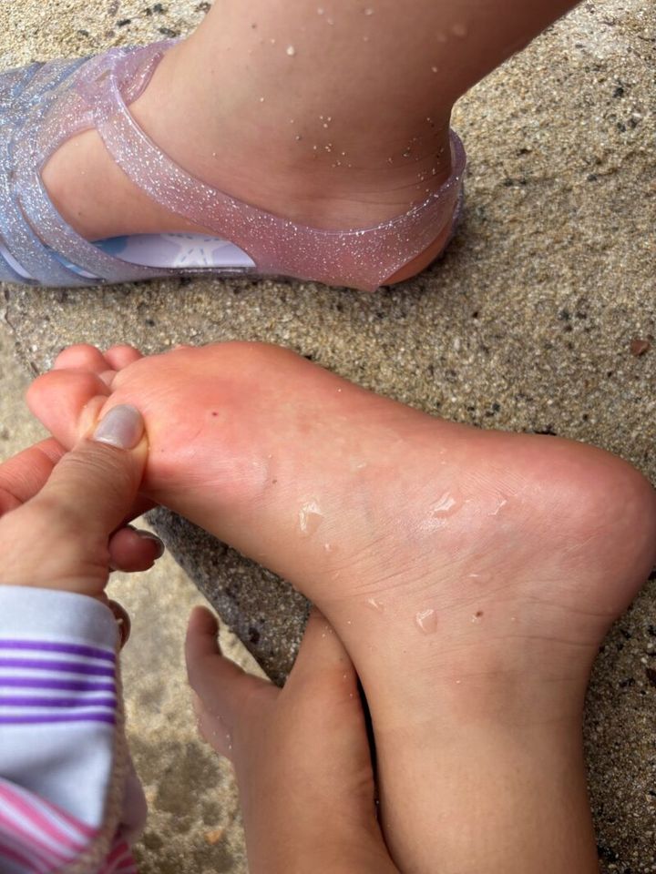 かがやき隊杉田さんのハワイ旅行紀 ウニ