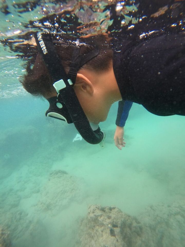 かがやき隊杉田さんのハワイ旅行紀 ハナウマ湾でシュノーケル