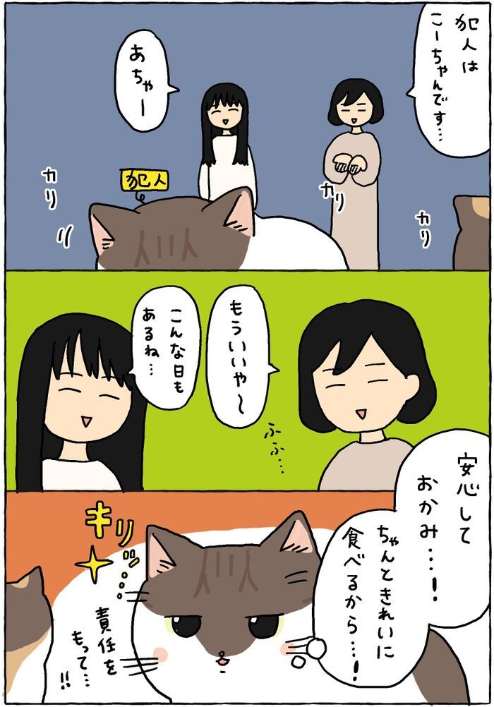 いつものごはん風景が…いったい何ごと！？【てらねこミー子の日常】