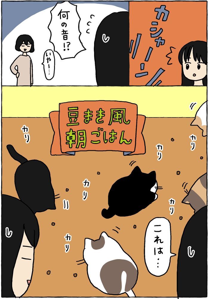 いつものごはん風景が…いったい何ごと！？【てらねこミー子の日常】