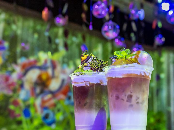 ハウステンボス 森のファンタジアカフェ「アップルキャラメルミルクティー／パープルスイートポテトオレ」2