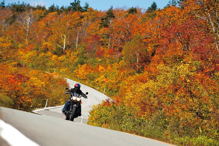 【2025年最新】紅葉ツーリングの見頃予測｜今年は平年より遅めに色づく!?