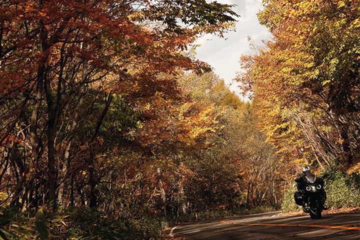 【2025年最新】紅葉ツーリングの見頃予測｜今年は平年より遅めに色づく!?