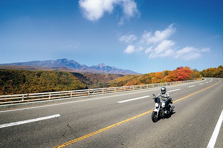 【2025年最新】紅葉ツーリングの見頃予測｜今年は平年より遅めに色づく!?