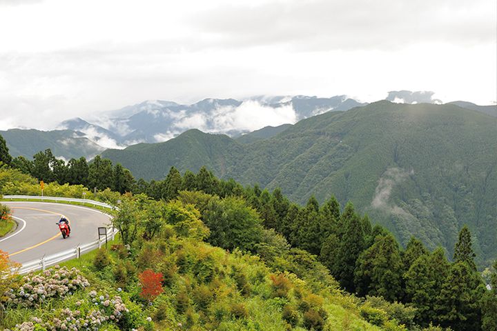 【2025年最新】紅葉ツーリングの見頃予測｜今年は平年より遅めに色づく!?