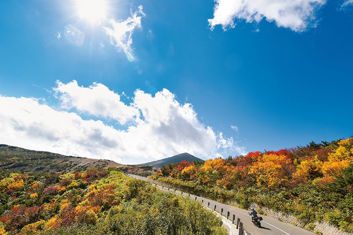 【2025年最新】紅葉ツーリングの見頃予測｜今年は平年より遅めに色づく!?