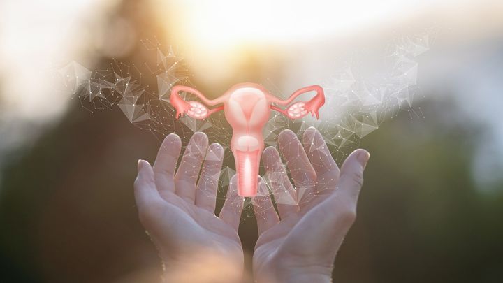 月経を再現する試「ミニ子宮」を作成することに成功！