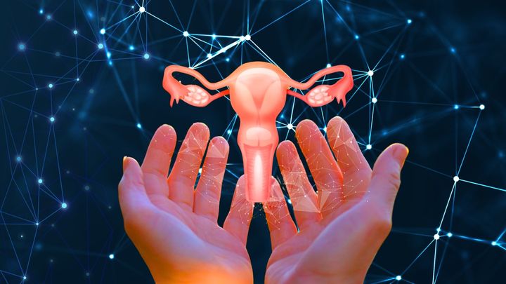 月経を再現する試「ミニ子宮」を作成することに成功！