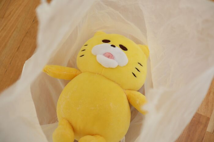 洗濯ナシで汚れを一掃！「ぬいぐるみ」を型崩れさせずにキレイにする裏ワザ〈検証してみた〉