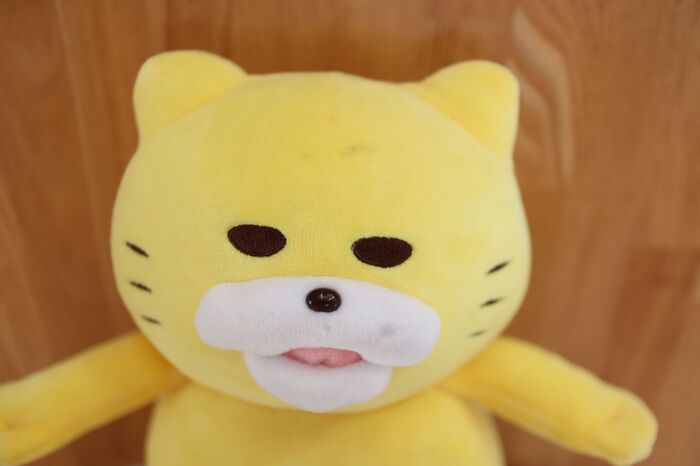 洗濯ナシで汚れを一掃！「ぬいぐるみ」を型崩れさせずにキレイにする裏ワザ〈検証してみた〉