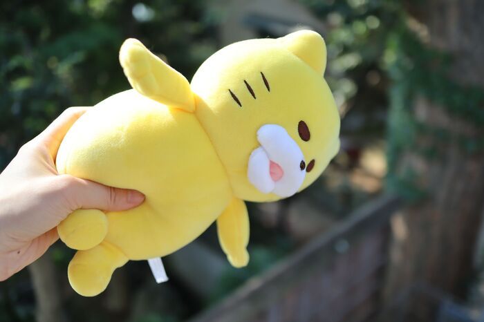 洗濯ナシで汚れを一掃！「ぬいぐるみ」を型崩れさせずにキレイにする裏ワザ〈検証してみた〉