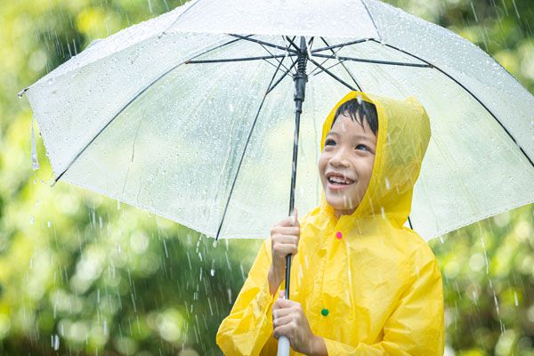 キャンプギアの収納問題どうしてる？賢く綺麗に保管する激推しアイテムを紹介！