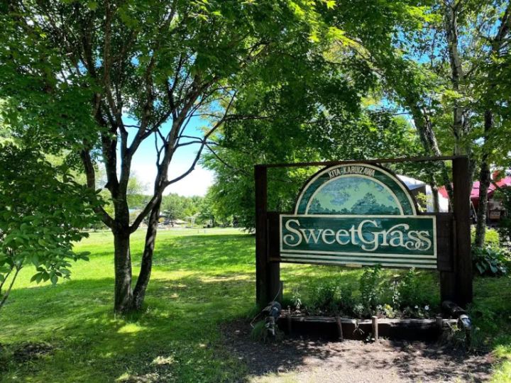 キャンプギアの収納問題どうしてる？賢く綺麗に保管する激推しアイテムを紹介！