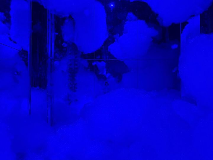 チームラボ《質量も形もない彫刻》