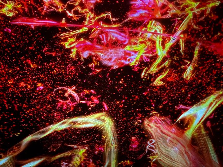 チームラボ《The Eternal Universe of Words》