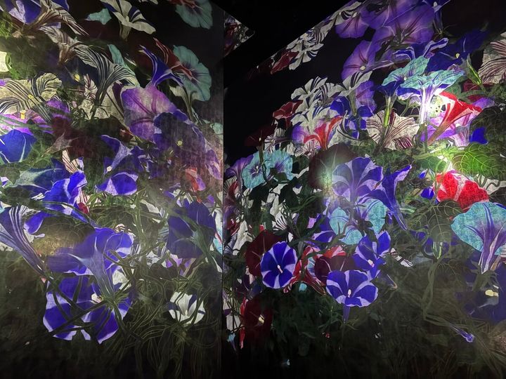 チームラボ《内に秘めた輝き》