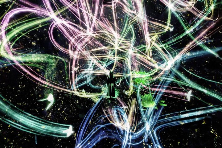 チームラボ《追われるカラス、追うカラスも追われるカラス》