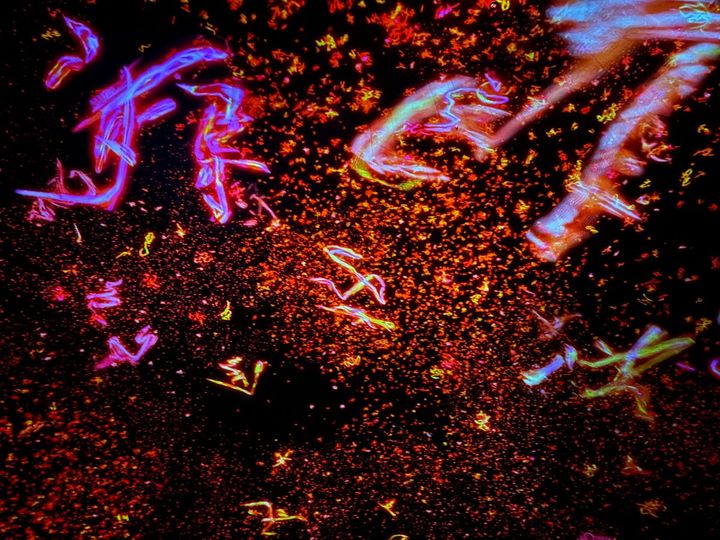 チームラボ《The Eternal Universe of Words》