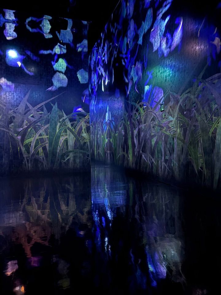 チームラボ《内に秘めた輝き》