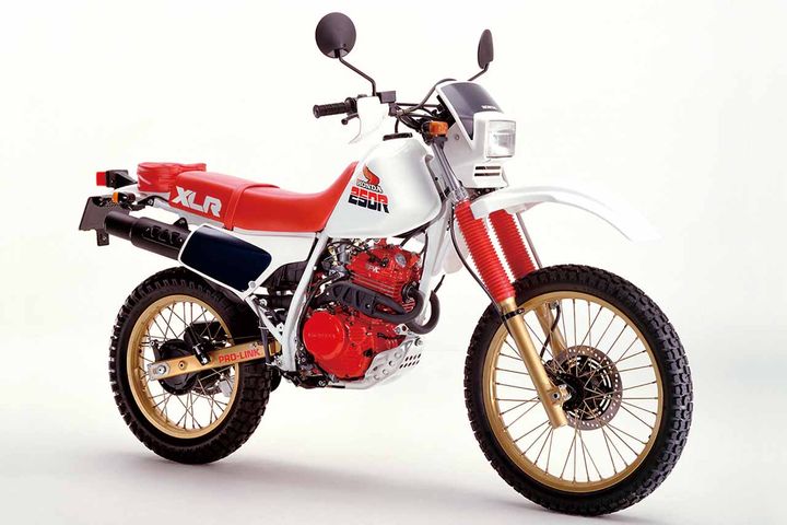 1985_XLR250R（MD16）