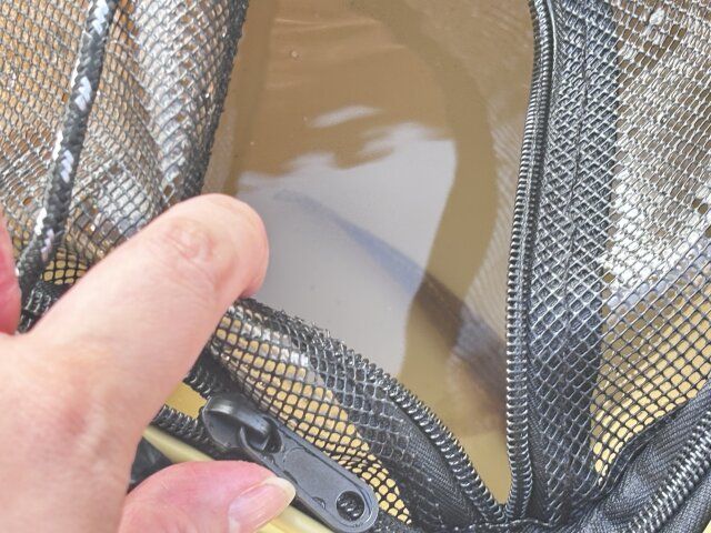 ダイソーの釣り用活かしバケツは水替えが楽