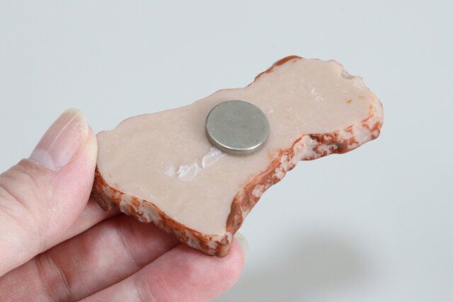 ヘアクリップ 骨付カルビ マグネット