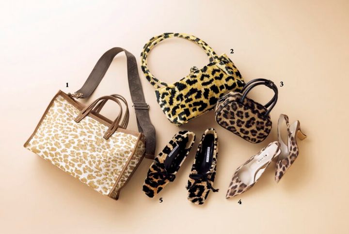 1.ジャカードで織り上げられた柄となじんだ上品な色合いが素敵。大容量で軽くて使い勝手も抜群。バッグ[H23×W35.5×D11]￥58,300（ア ヴァケーション／ノーベルバ） 2.ヴィンテージライクなベルベット素材。キリムの技術を使って、ジオメトリックにアレンジされた柄が新鮮。バッグ[H15.5×W31×D7.5]￥31,900（キリムアーツ／フラッパーズ） 3.ふんわりした素材が柄のインパクトをまろやかに。ショルダーストラップ付き。[H11×W20×D7]￥1,899（GRL） 4.尖ったつま先がシャープなパンプスでレオパード柄を女っぽく。[H5]￥17,600（ダイアナ／ダイアナ 銀座本店） 5.ぼやけたようなモチーフとふわふわのボアが優しいムード。軽やかな履き心地でレオパード柄をカジュアルに楽しめそう。[H1]￥47,300（ピッピシック／ベイジュ）