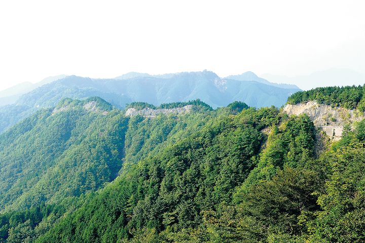 【紅葉2025】関西エリアの絶景紅葉ルート3選