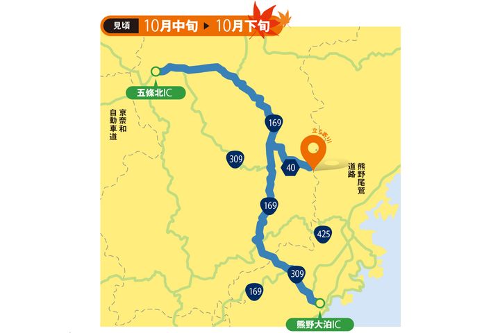 【紅葉2025】関西エリアの絶景紅葉ルート3選