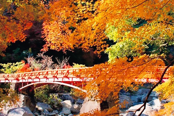 【紅葉2025】関西エリアの絶景紅葉ルート3選