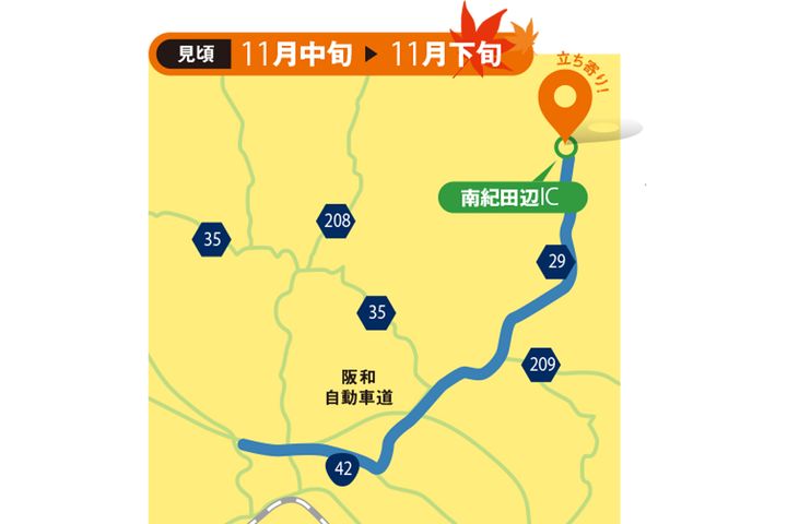 【紅葉2025】関西エリアの絶景紅葉ルート3選
