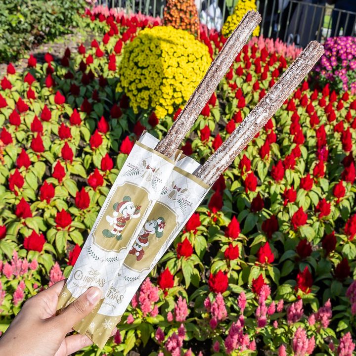 東京ディズニーリゾート“ディズニー・クリスマス2025”チョコレートチュロス