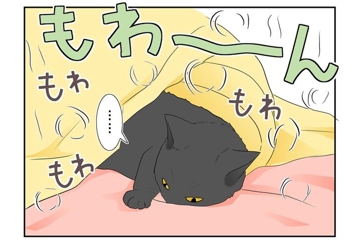 【マンガ・老猫日誌＃28】老猫とのループする日常？ 18歳の元保護猫・桃姐
