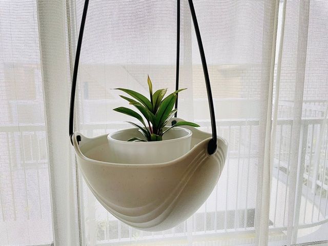 セリア 吊り鉢 植物