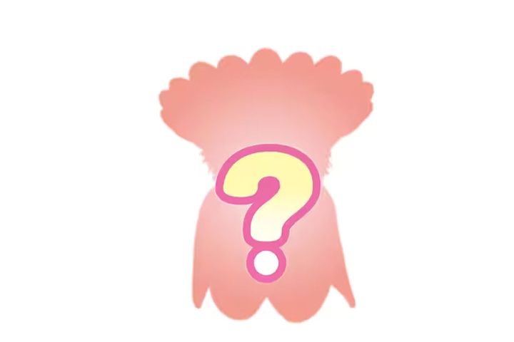 赤ちゃんコレクション -赤ちゃん妖精の森のなかまたちシリーズ-（全8種）内シークレット1種類／「シルバニアファミリー公式サイト」より引用