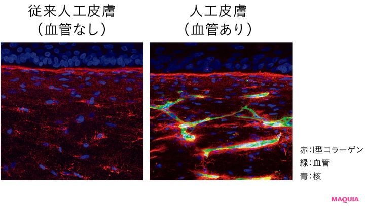 ロート製薬 オバジX バイタライズ リフトクリーム 最新美容の裏側 ここがすごい２