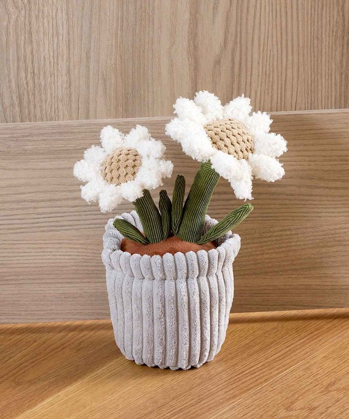 画像1: 出典：3COINS