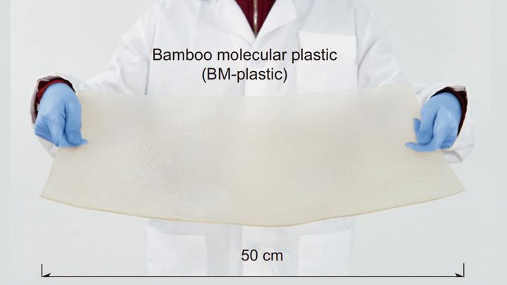 見た目はほとんどプラスチックと区別できません
