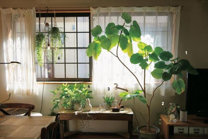 写真に撮ってバランスを確認する、お気に入りのグリーンコーナー