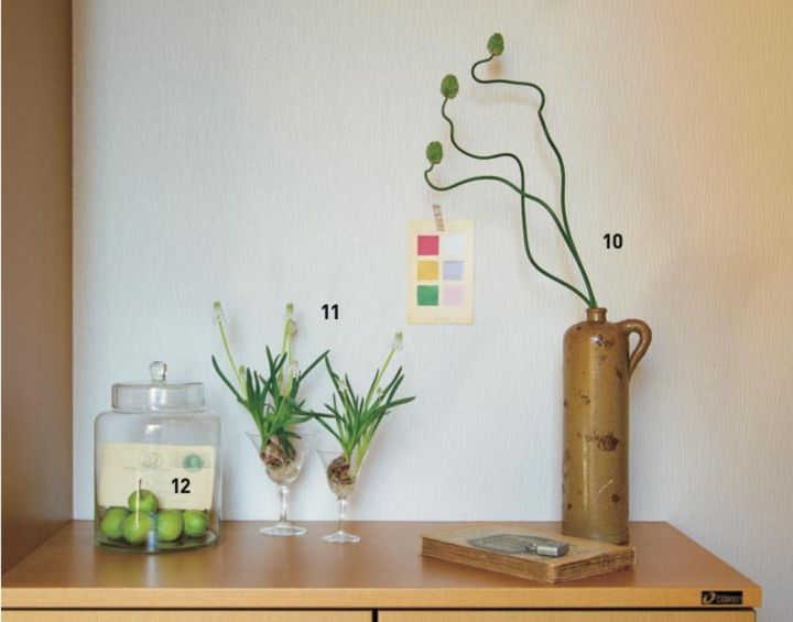 玄関を入って目に留まる個性的なグリーンゾーン